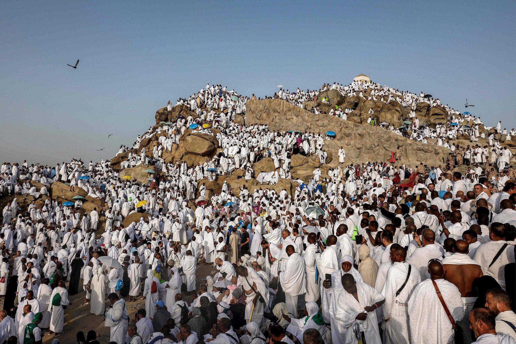 سياحة 19 الهيئة العامة للإحصاء السعودية : أكثر من 1.7 مليون حاج وحاجة أدوا المناسك في حج 1447هـ