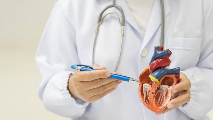 علماء يطورون تقنية مبتكرة لعلاج الكسور وأمراض القلب بالخلايا الجذعية علماء يطورون تقنية مبتكرة لعلاج الكسور وأمراض القلب بالخلايا الجذعية