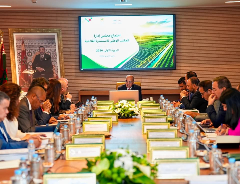 البواري يترأس أول دورة للمجلس الإداري للمكتب الوطني للاستشارة الفلاحية ويؤكد على تعزيز مواكبة الفلاحين ودعم الابتكار البواري يترأس أول دورة للمجلس الإداري للمكتب الوطني للاستشارة الفلاحية ويؤكد على تعزيز مواكبة الفلاحين ودعم الابتكار
